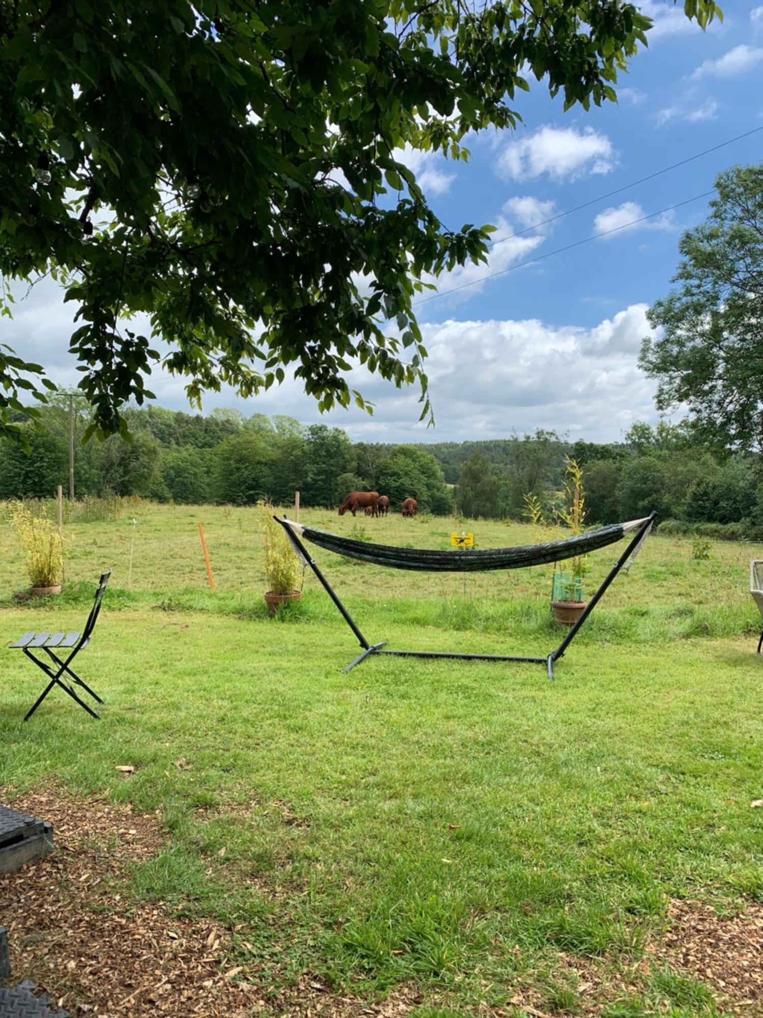 American School Bus Retreat With Hot Tub In Sussex Meadow アックフィールド エクステリア 写真